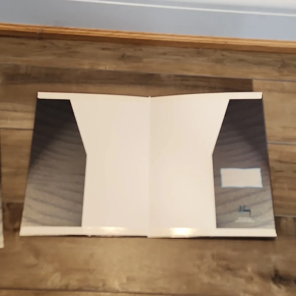 Anthony Casay ocean dolphin scene Stuart Hall folder unpunched from 1997